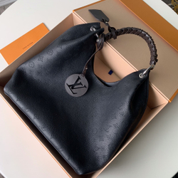 Louis Vuitton Carmel Hobo Bag