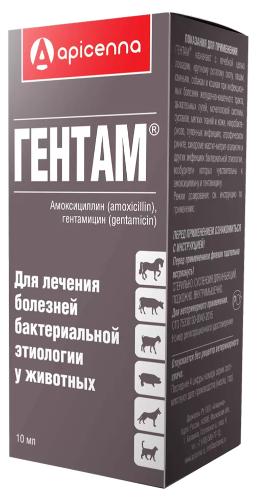 Apicena гентам для лечения болезней бактериальной этиологии