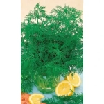 Семена Укроп Для Заморозки (УД) Е/П