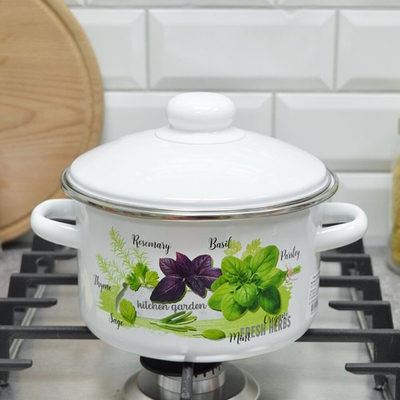 Кастрюля 2л "Базилик" с металлическим ободком