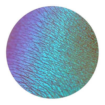 Tammy Tanuka Громовержец тени Тамми Танука