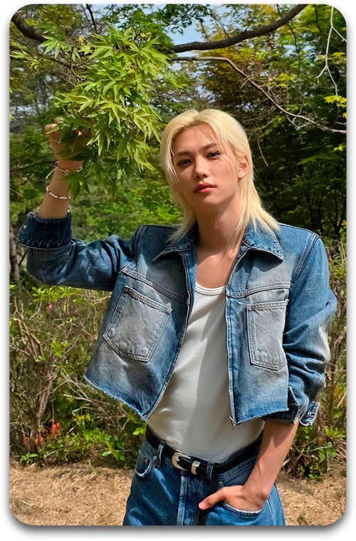 Карта / STRAY KIDS #3769