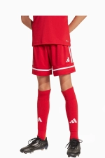 Шорты adidas Squadra 25 Junior - красный