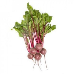 Бетти F1 семена свеклы (Rijk Zwaan / Райк Цваан)