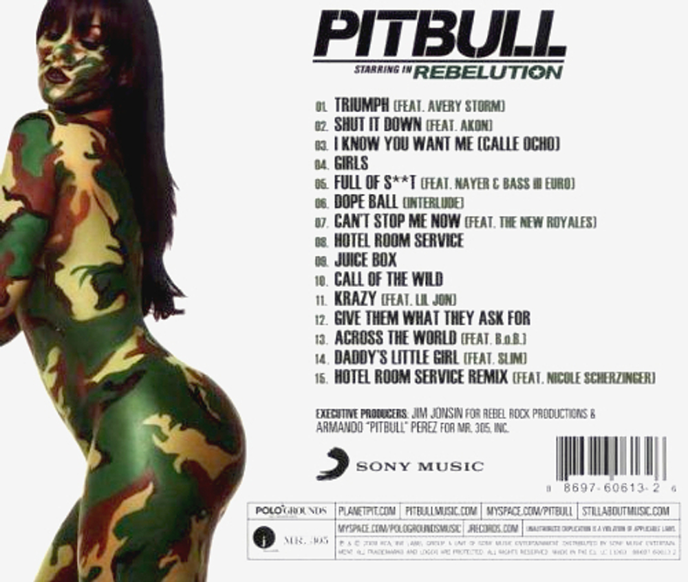 Pitbull / Rebelution (CD)