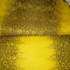 Кожа ящерицы SK-22