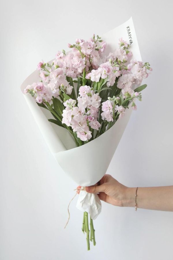 Монобукет Маттиола кустовая Pink – купить за 3300 руб в KRAP/VA