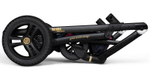 Детская коляска Cosatto Wow 2 2 в 1 Rhapsody Special Edition