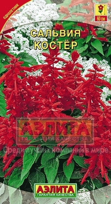 Сальвия Костер 0,1гр Аэлита