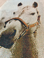 Календарь из гобелена на 2026 год Белый конь 39х81