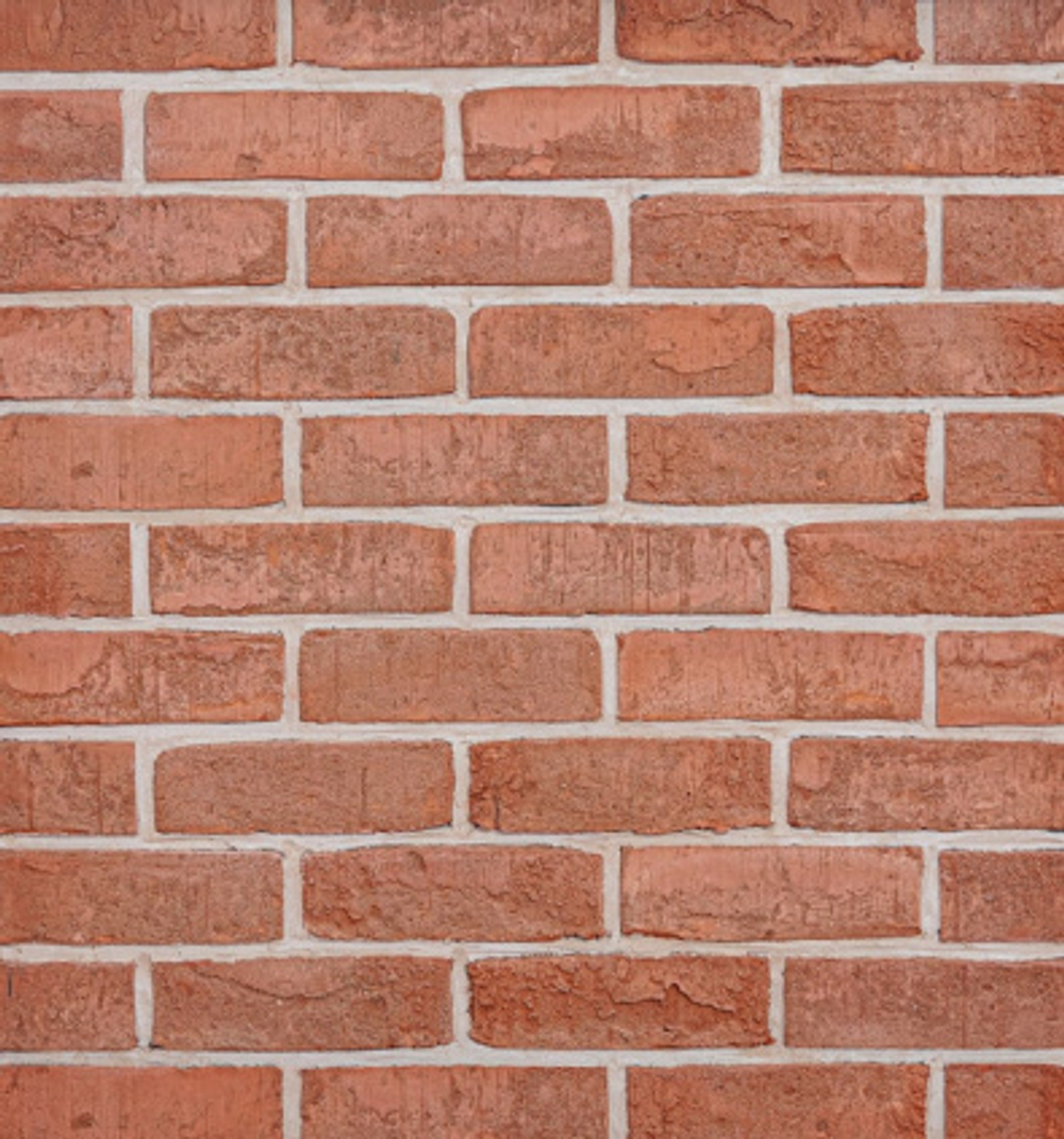 Кирпич Петровский Штандарт WDF Красный