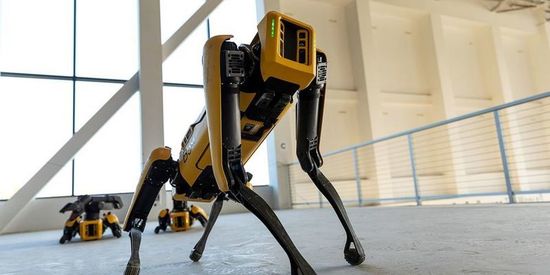 Boston Dynamic продемонстрировала возможности Spot в реальных условиях