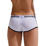 Мужские трусы хипсы белые GAUVINE 3004