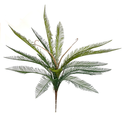 Папоротник блехнум 63 см