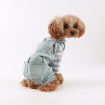 227 Комбинезон "ZZON"