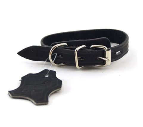 Zoomaster ошейник №25 одинарный 40см