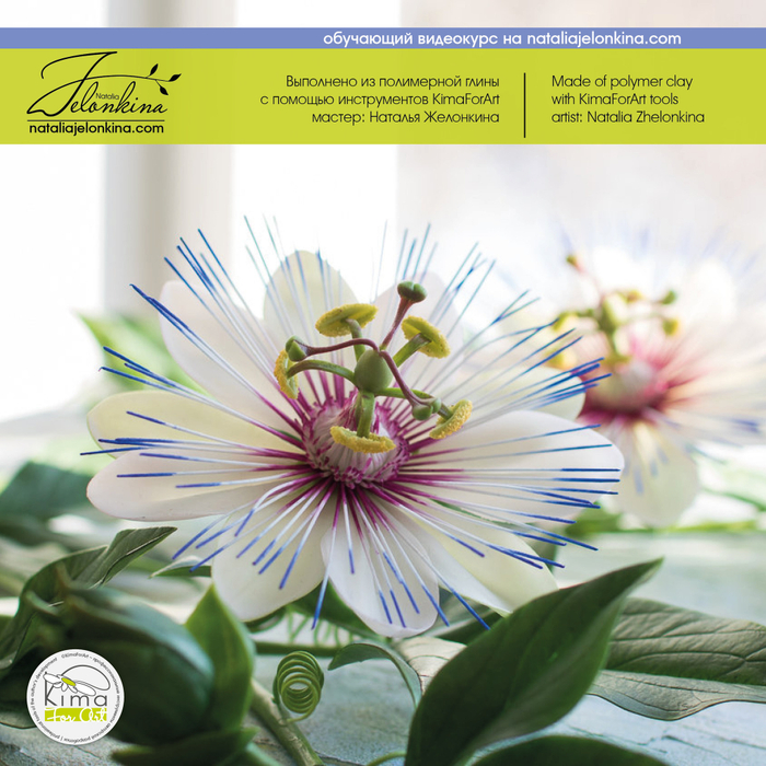 Пассифлора