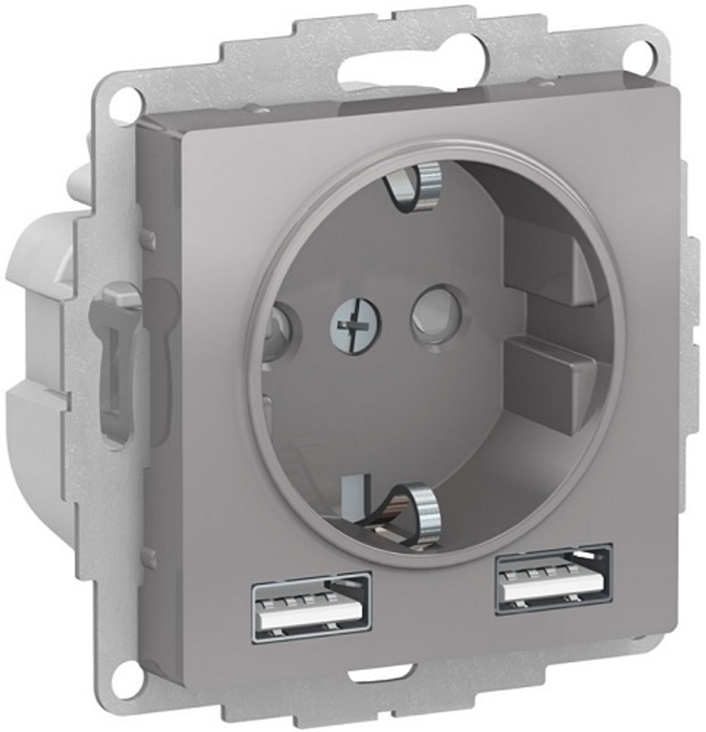 Розетка с заземлением с 2 USB  Systeme Electric ATN000330