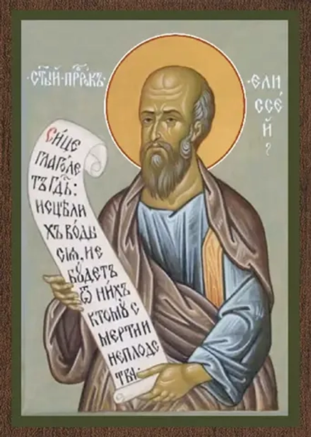 Икона "Елисей, пророк" 6х9 на МДФ-6
