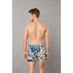 Мужские трусы боксеры серые с принтом Doreanse 1806