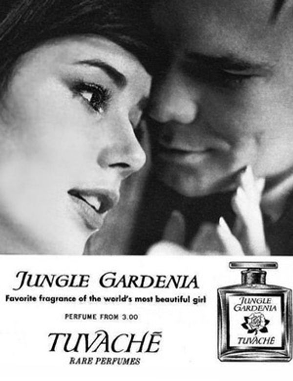 Tuvache Jungle Gardenia