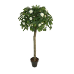 Камелия 110 см