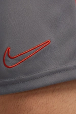 Шорты Nike Dri-FIT Academy - серый