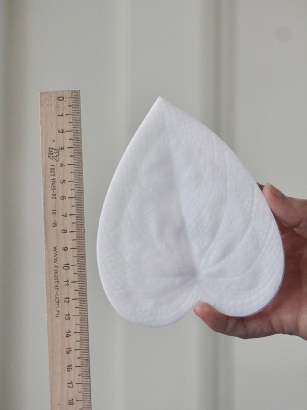 Вайнер лист Каладиума ClayCraft by DECO™