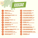 Подарочный канцелярский школьный набор 47 предметов Авокадо, MC-Basir, Большой бокс с канцелярией для девочек 2025, милый подарок на Новый год и День рождения