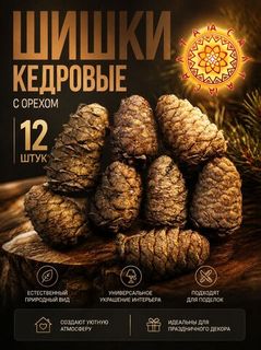 Шишки кедровые.