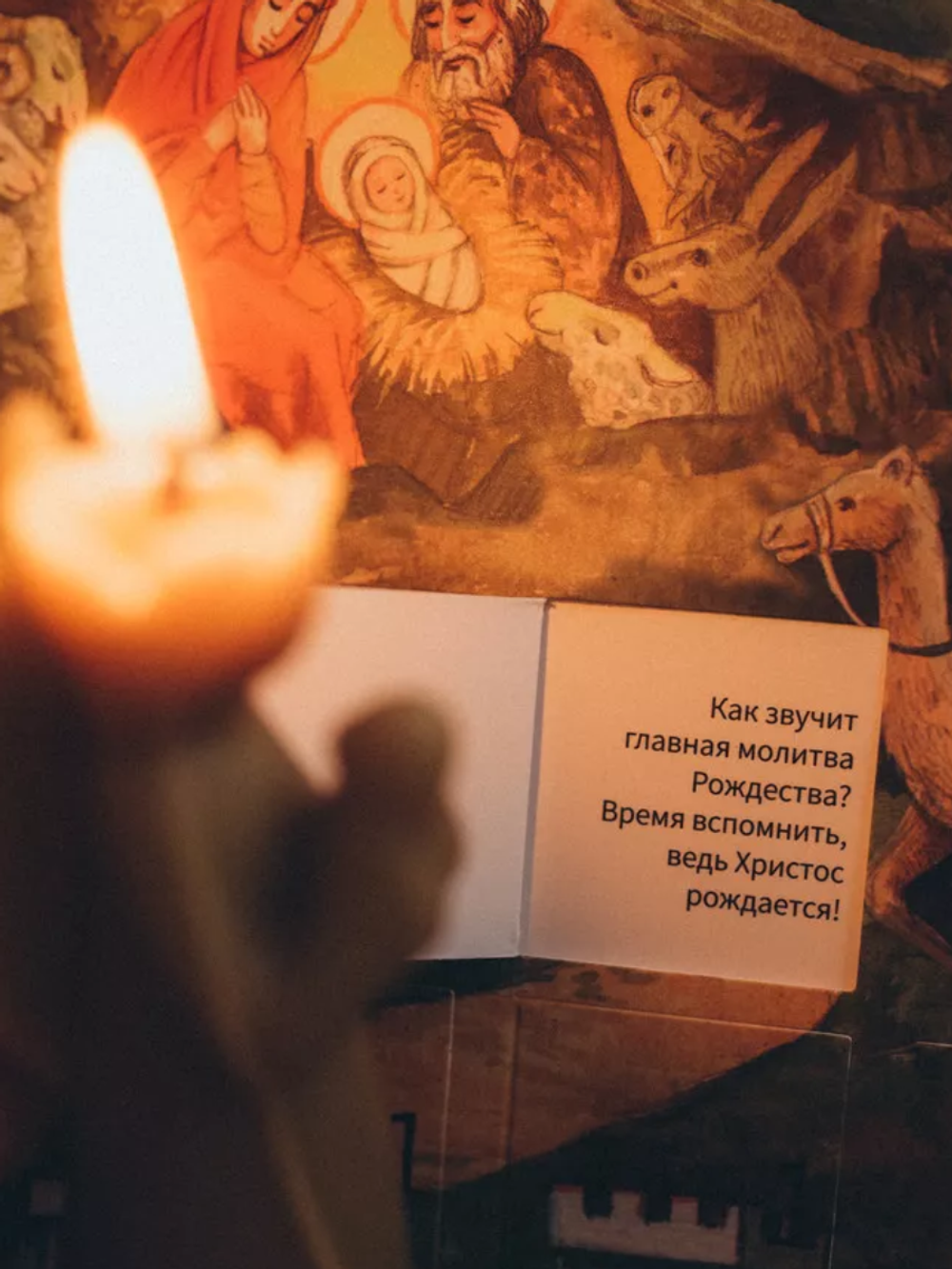 загруженное (7)