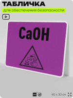 Табличка для обеспечения безопасности "CaOH", для производства, предприятия, организаций, 40х30 см, Silver Plane x Айдентика Технолоджи