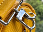 Louis Vuitton Papillon Trunk