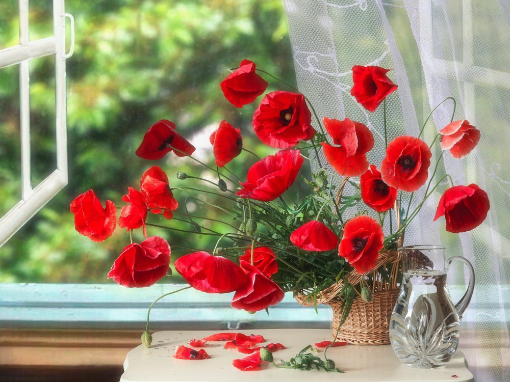 Картина по номерам 22х30см. "Маковая корзина" 16цв. (Арт. Х-4105)