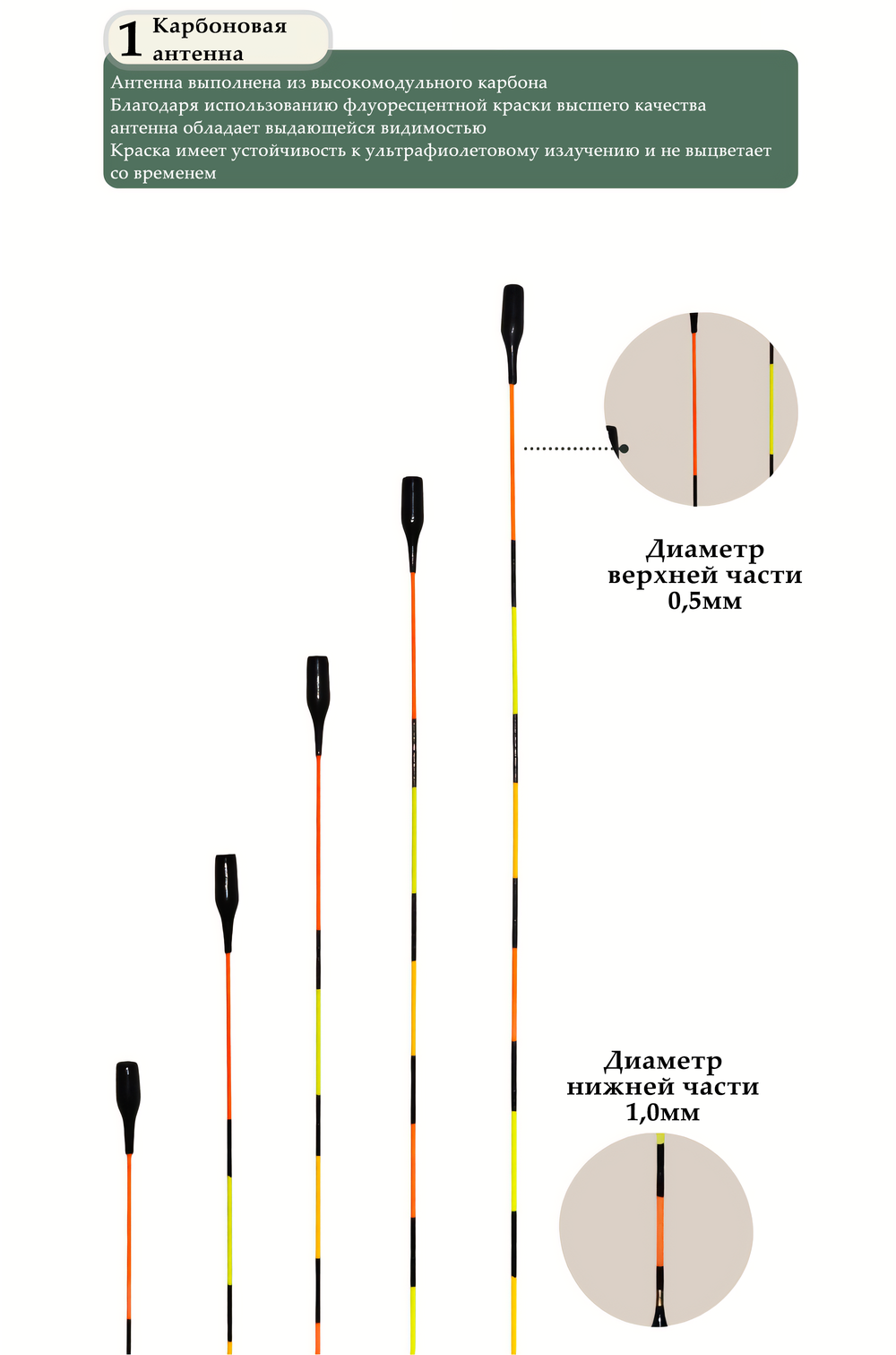 WILD MONSTER long carbon conical