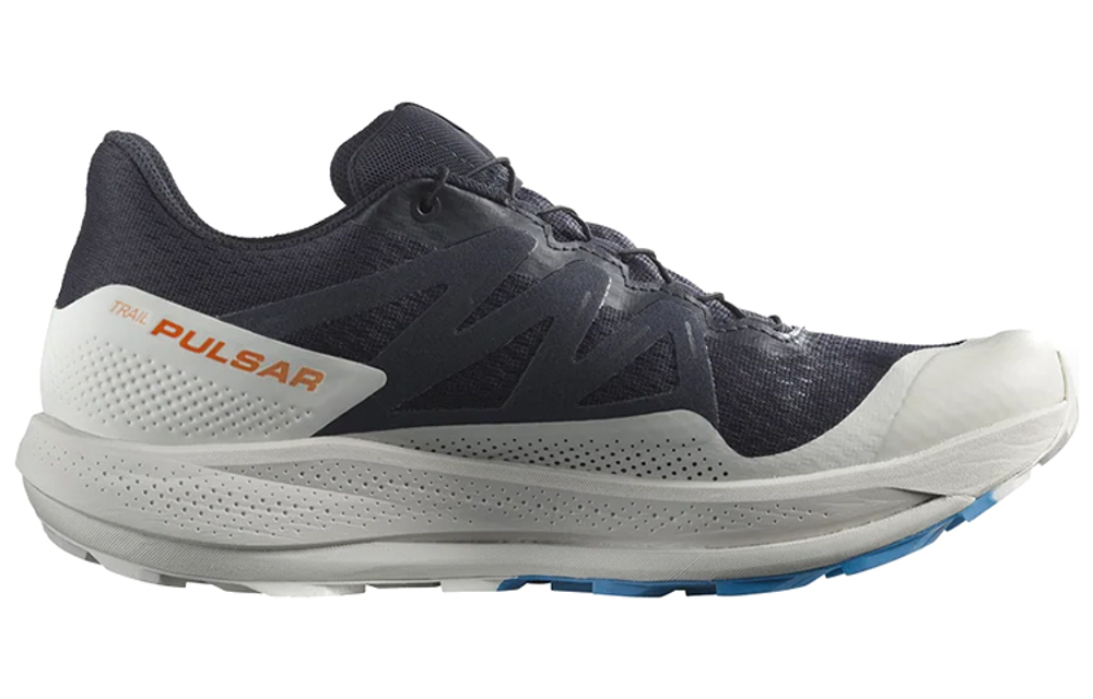 SALOMON Pulsar Trail Gtx "Night Sky" / L00