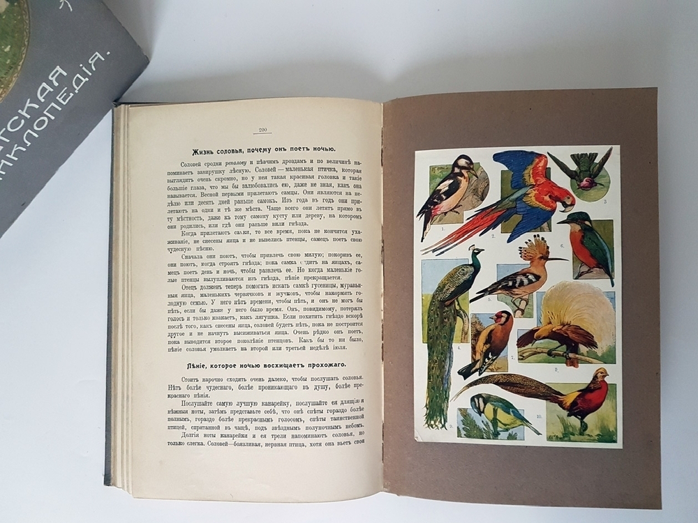 "Детская энциклопедия". 1914г.