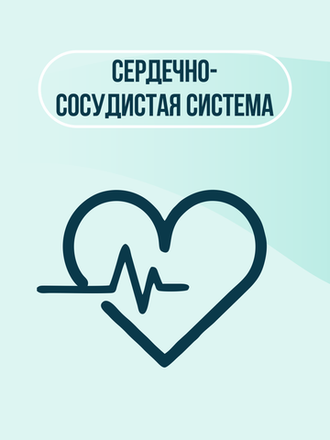 Препараты для сердечно -сосудистой системы животных