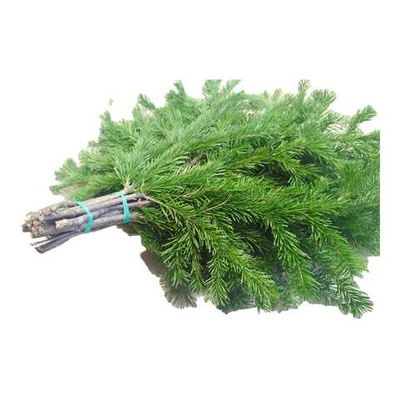 Веник для бани Пихтовый Премиум