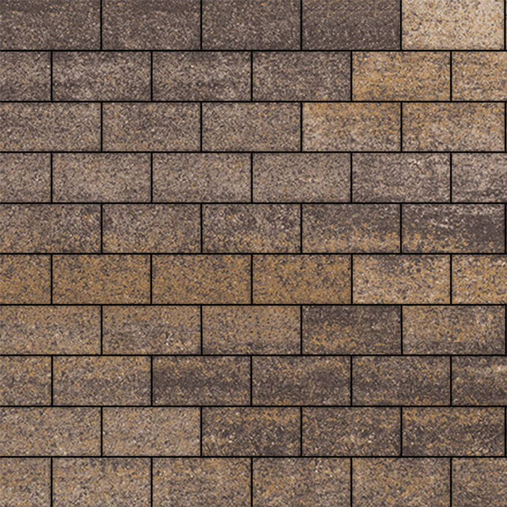 Тротуарная плитка ПРЯМОУГОЛЬНИК 200x100 мм - Искусственный камень Доломит