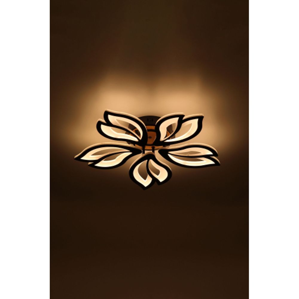 Светильник потолочный светодиодный Rivoli Lana 6195-733 LED 3000-6250К 100 Вт с пультом | Rivoli