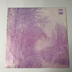 Винтажная виниловая пластинка LP Поет Нина Пантелеева (СССР 1975) Долгое Лето