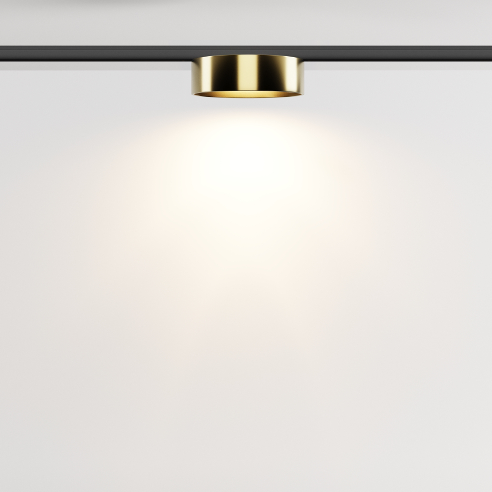 Магнитный трековый светильник Maytoni Zon TR189-1-12W3K-BBS