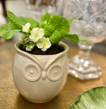 Кашпо Сова [Арт.45041]