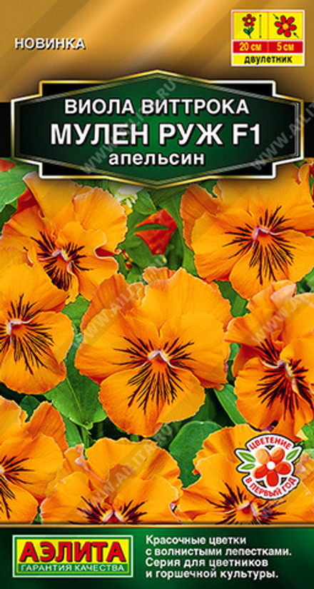 Виола Мулен Руж F1 апельсин 5 шт (Аэлита)