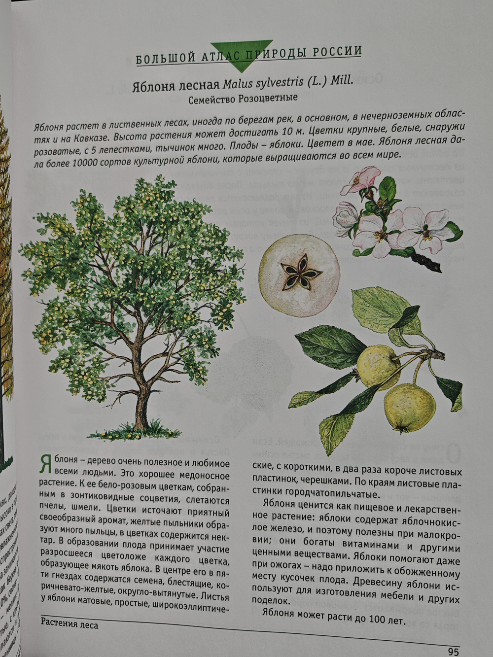 Большой атлас природы России