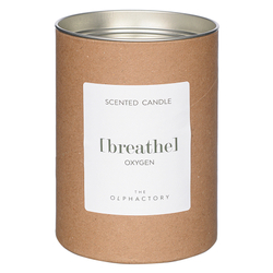 Свеча ароматическая 40ч Ambientair The Olphactory Breathe Кислород