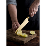 Набор из 5 ножей и подставки Titan Gold