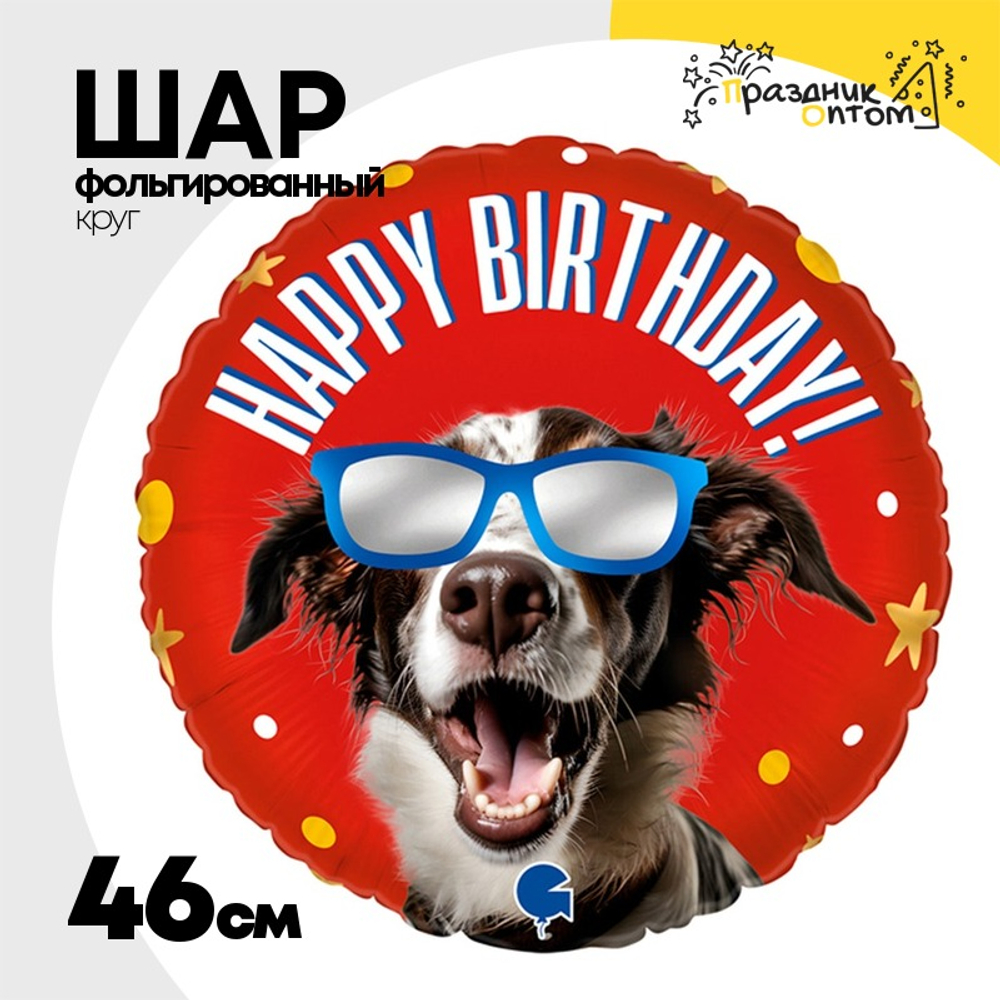 Шар Фольгированный Песик в очках (Красный)