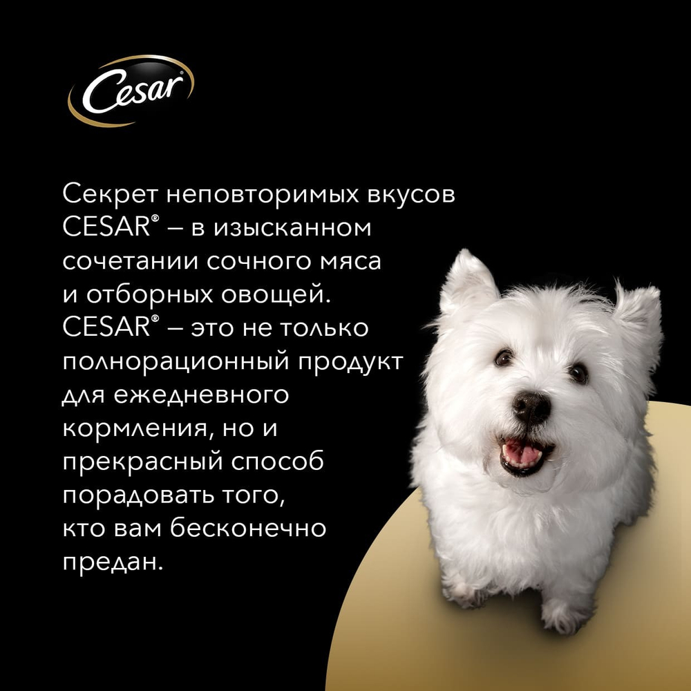 Жаркое с уткой, 85гр влажный корм для собак, Cesar